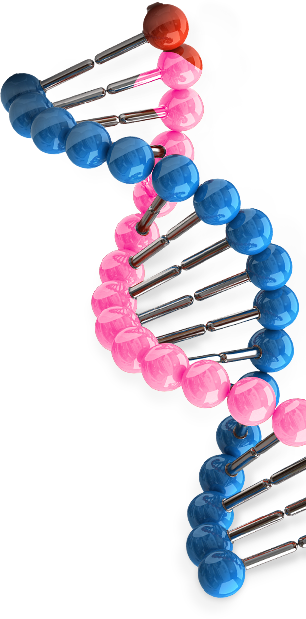pb-pink-blue-dna